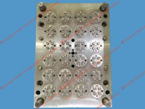 Cap Mould